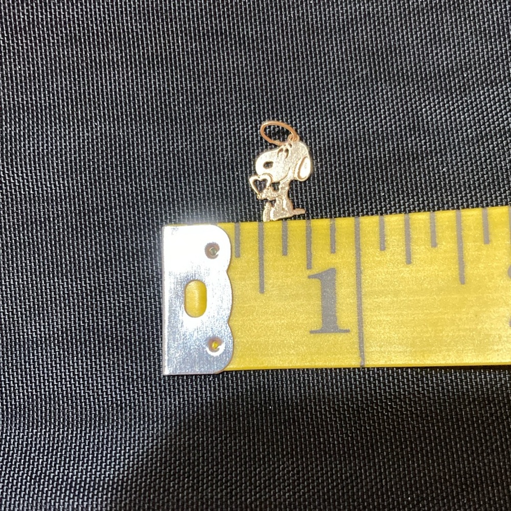 10k gold charm